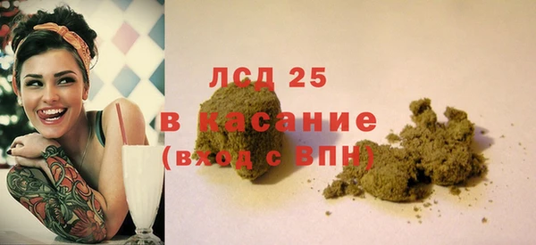 альфа пвп Гусев