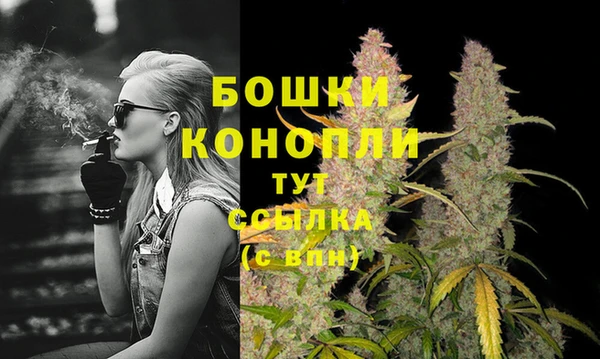 стафф Гусь-Хрустальный