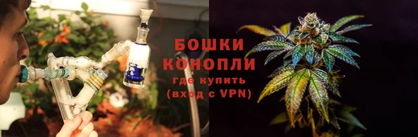 альфа пвп Гусев