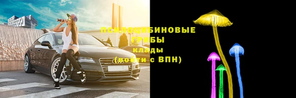 альфа пвп Гусев