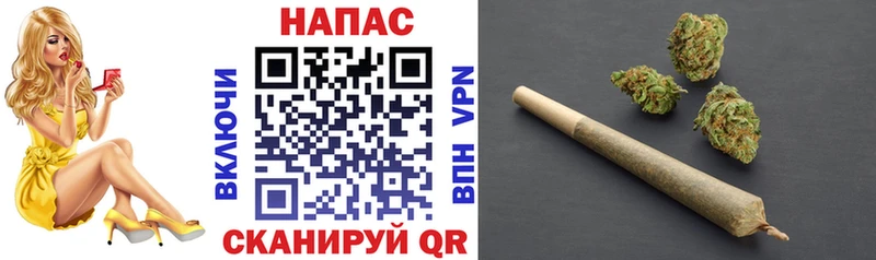 Канабис семена Данков